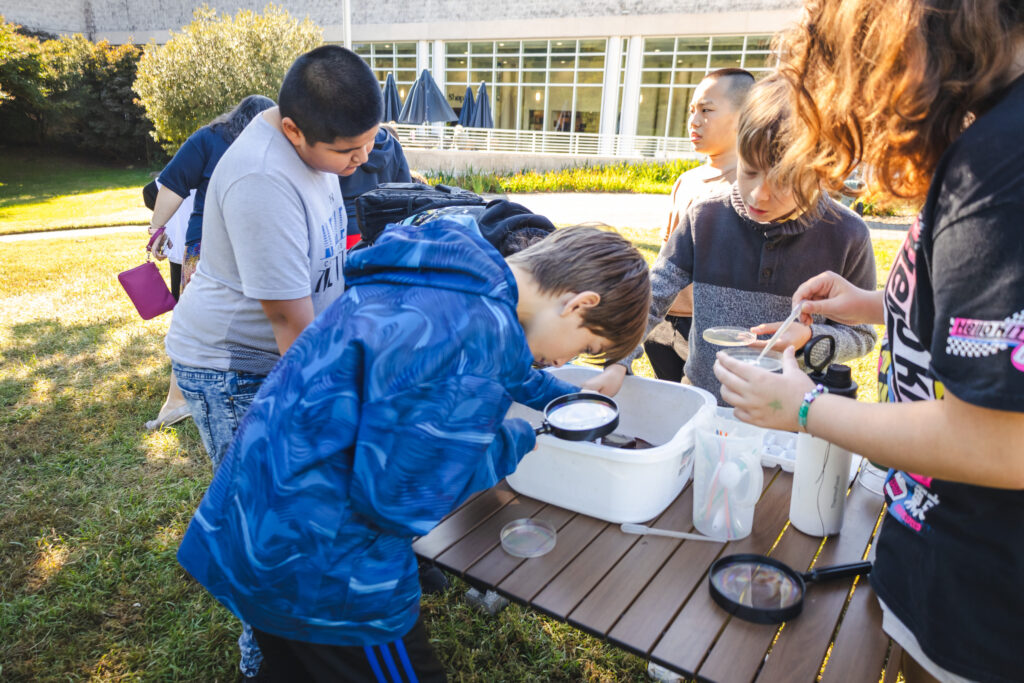 Students looking through a container of fresh lake water and leaf packs to find macroinvertebrates.