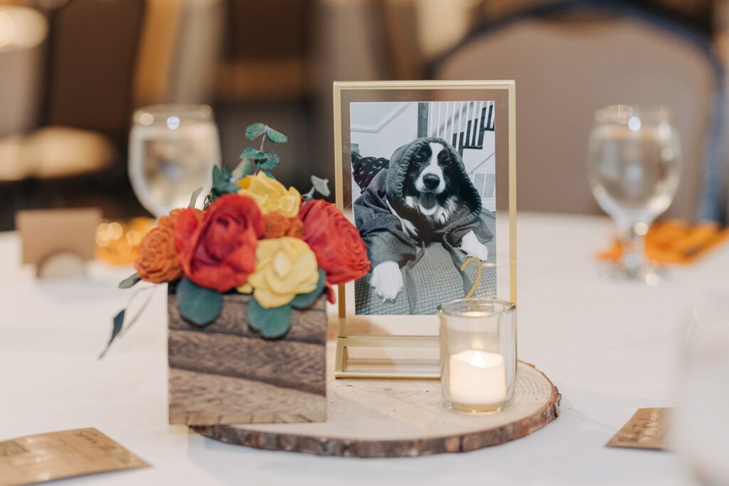 Wedding guest table with a photo of the bride and groom's dog as the table number.